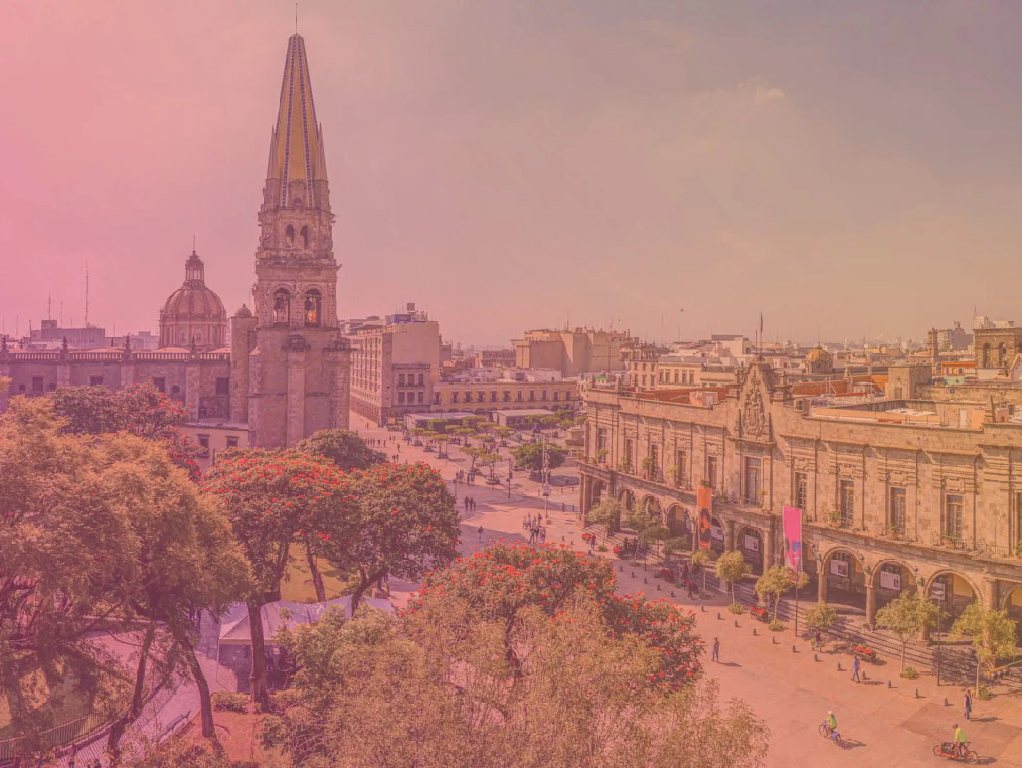 envios-locales-en-guadalajara